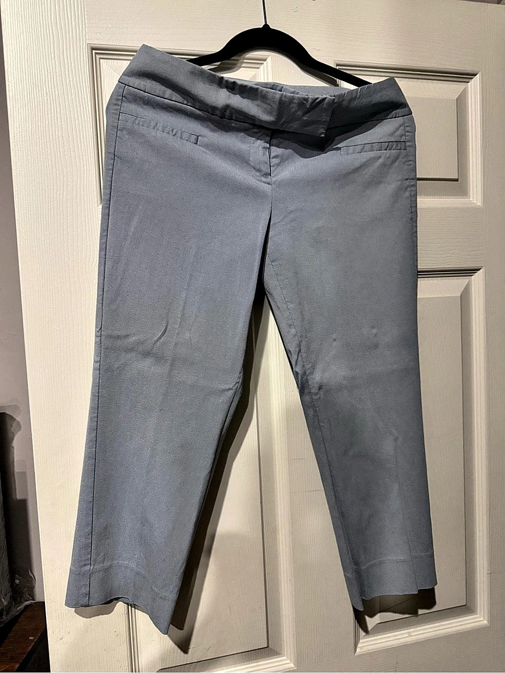 The Limited Exact Stretch Straight Leg Pants in Gray Size 6